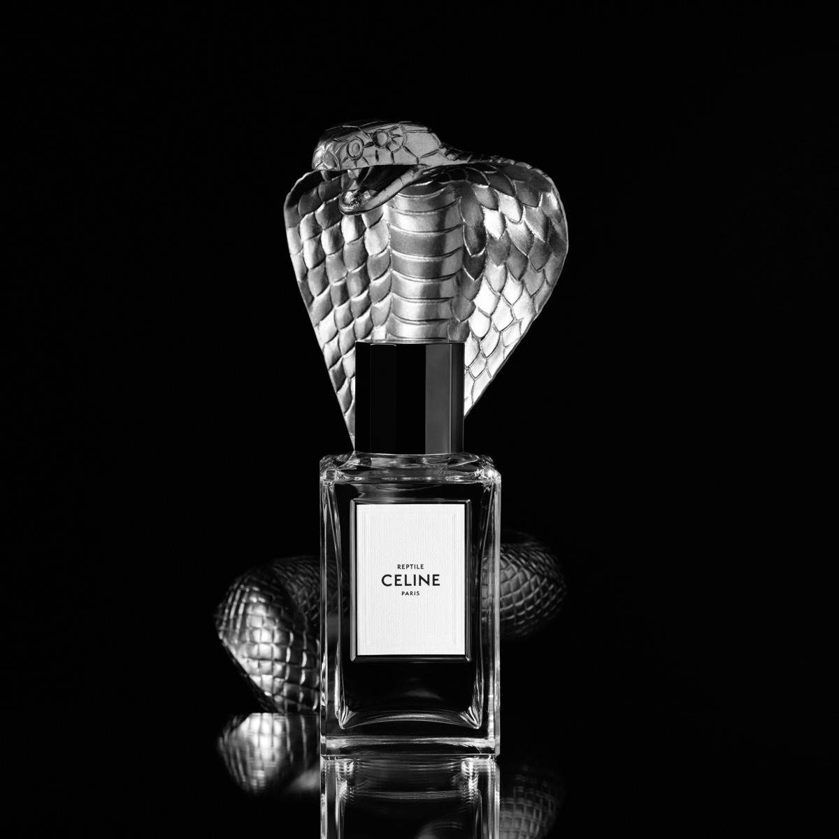 Hedi Slimane reprises tradition of couturier parfumeur with first haute  parfumerie collection for Celine - LVMH