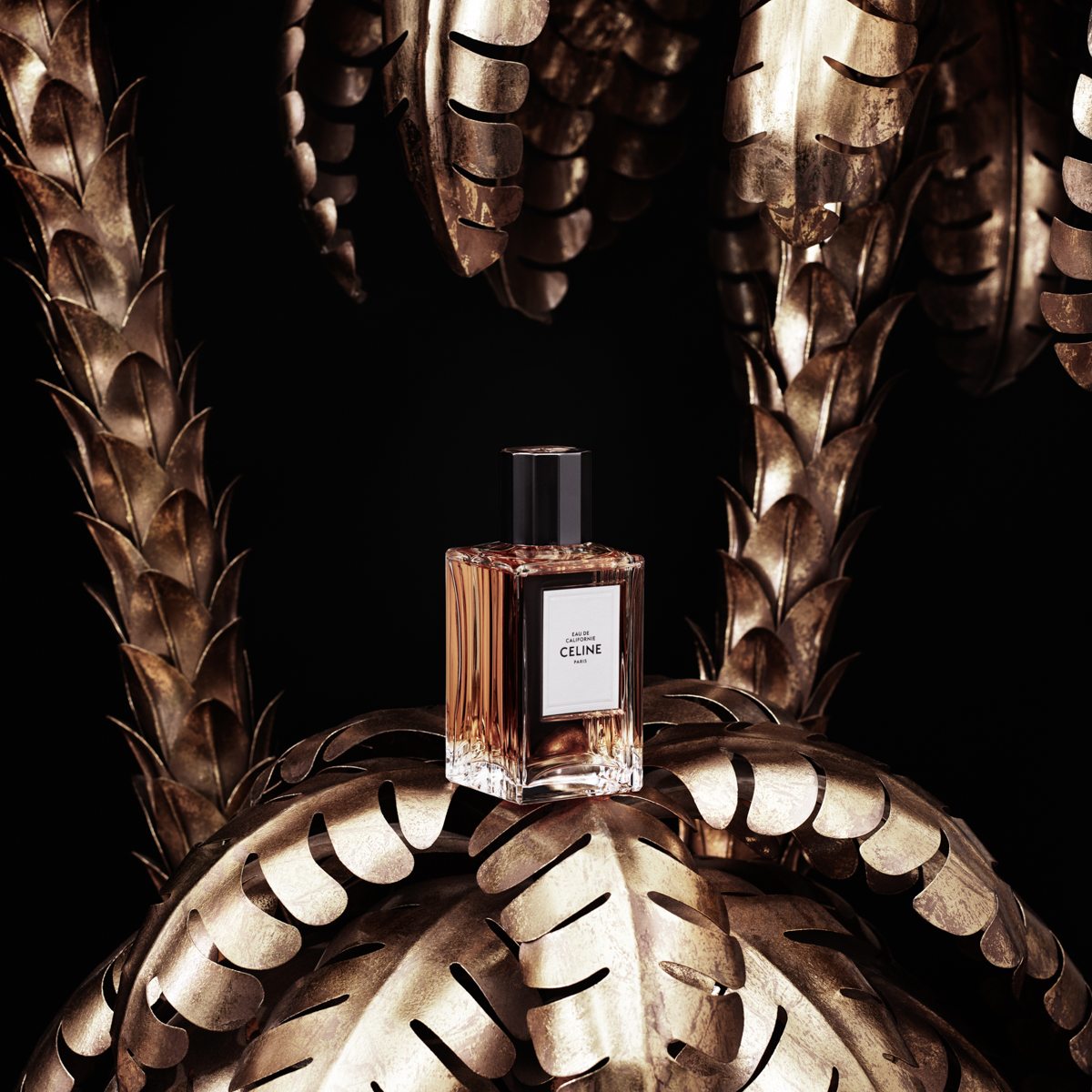 Celine haute parfumerie - Hedi Slimane | Slimi